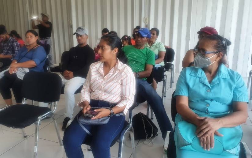 Productores mejoraran la calidad en el alimento del ganado.