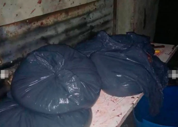 Sujetos vendían carne de caballo para hamburguesas en Argentina