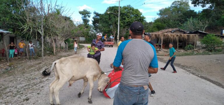 Rifan ternero en saludo a las fiestas patronales de Juigalpa