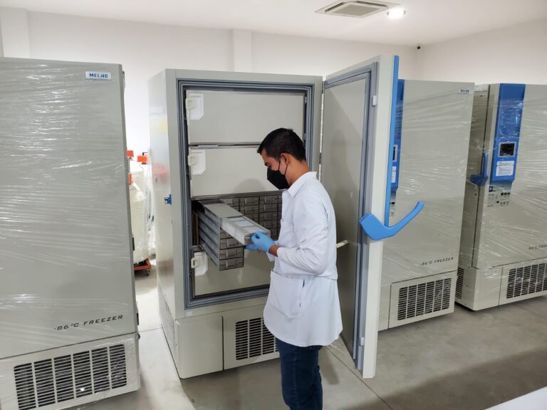 MINSA entrega 10 congeladores a la Seroteca 