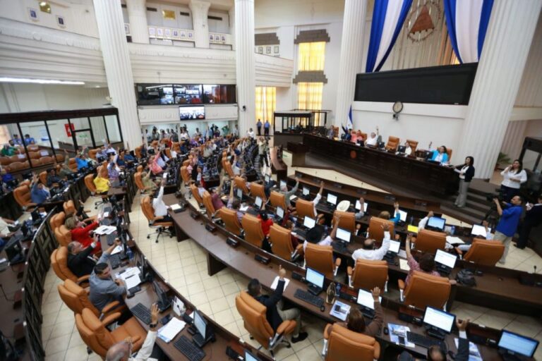 Aprueban decreto de cancelación de personalidad jurídica a 100 ONG por incumplir normativas