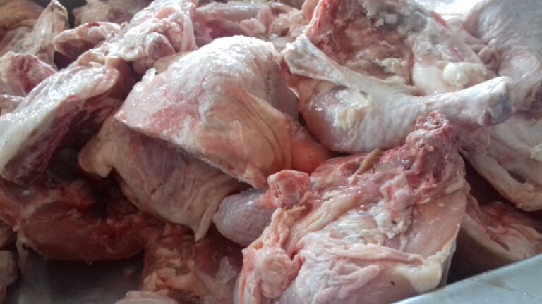 Reportan excelente producción de carne de pollo y huevo en primer semestre del 2022