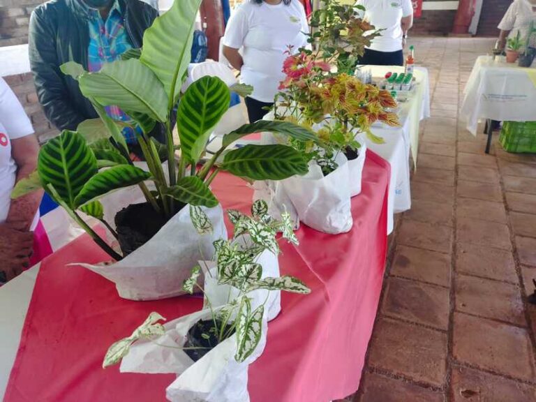 Promueven encuentro con viveristas boticarios y medicina natural