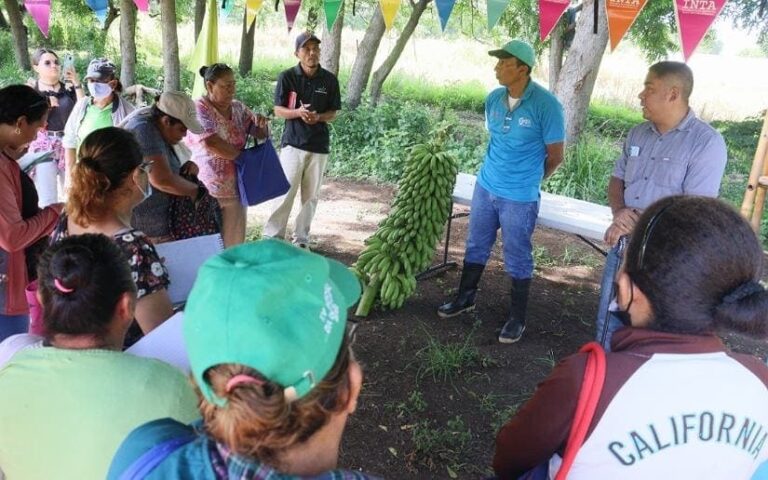 Capacitan a productores para incrementar la producción de frutas tropicales