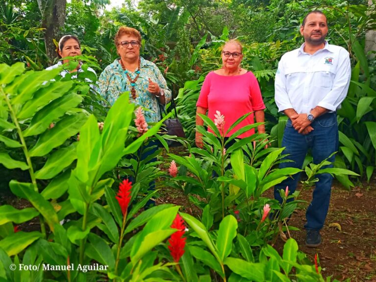 Alcaldía de Jinotepe lanza concurso “Jardines Más Bonitos y Coloridos”