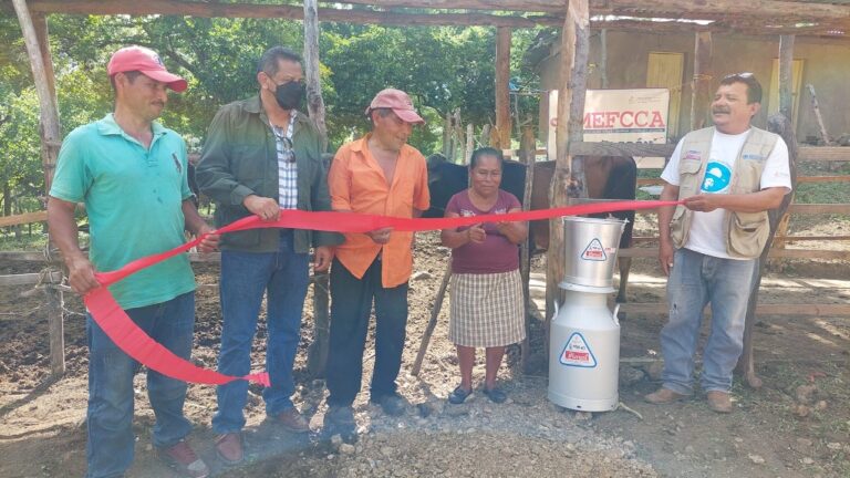 MEFCCA capitaliza a pequeños productores ganaderos de San Lucas, Madriz