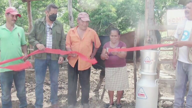 Entregan bonos tecnológicos a ganaderos de Madriz