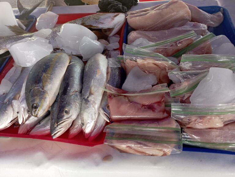 Variedad de productos se ofertan en la Feria del Mar