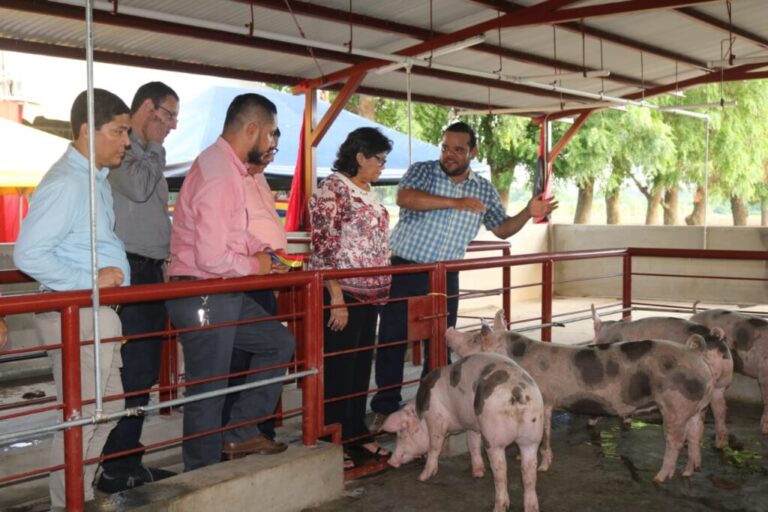 Inauguran Centro de Mejoramiento Porcino en León
