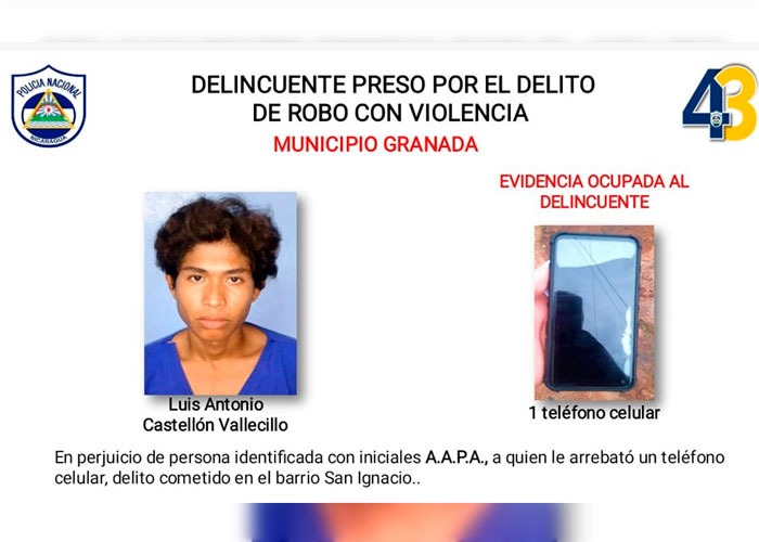 Ponen tras las rejas 7 sujetos en Granada