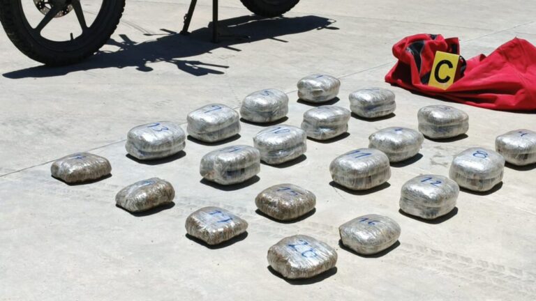 Incautan 49 libras de marihuana en Nueva Segovia