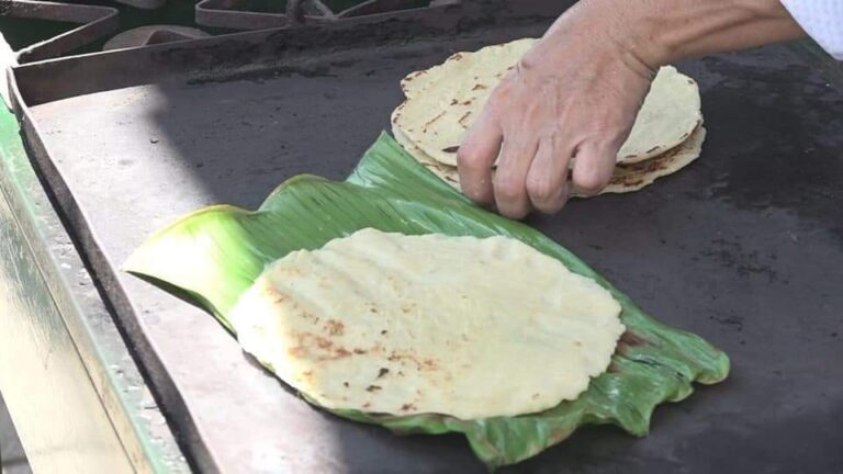 Realizan XXI Feria Nacional del Maíz