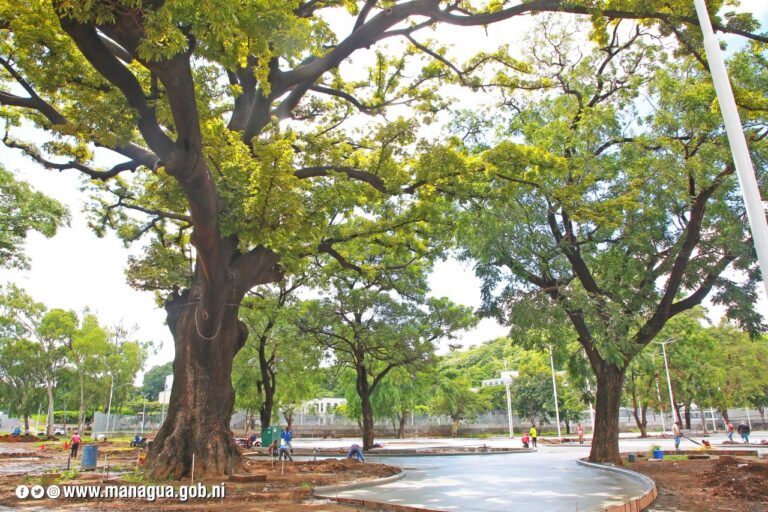 Avanza en un 62 % la obra de rehabilitación del parque de Las Piedrecitas