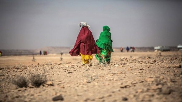 Más de 700 niños han muerto por desnutrición en Somalia