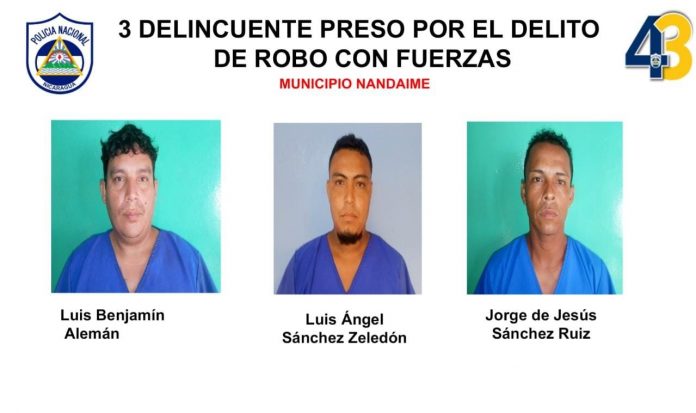 Ponen tras las rejas a 11 sujetos en Granada