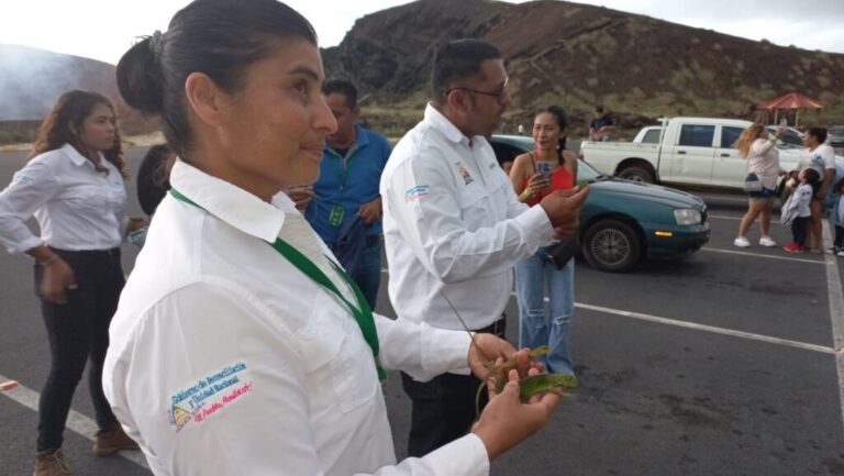Más 10 de garrobos fueron liberados en el Volcán Masaya