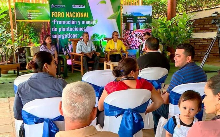 Realizan el lII Foro Nacional “Promoción y manejo de plantaciones energéticas”