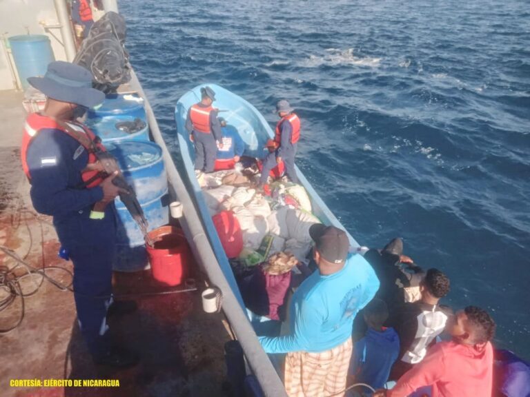 La Fuerza Naval del Ejército de Nicaragua incautó más de 1300 libras de pepino de mar, por encontrarse en período de veda