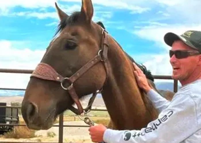 Caballo regresa donde su dueño 8 años después de haber huido