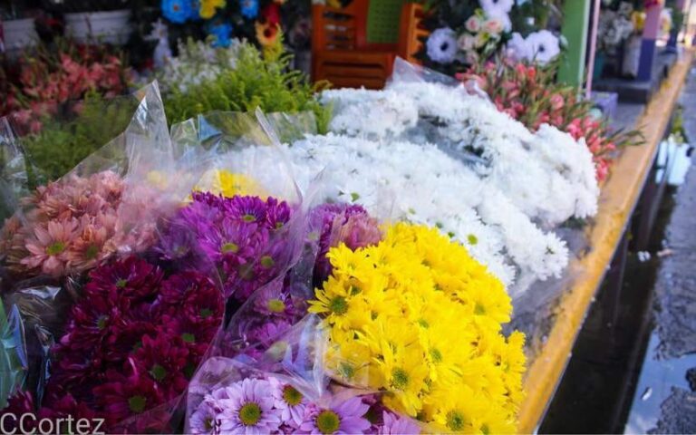 Comercio activado en los camposantos de Managua