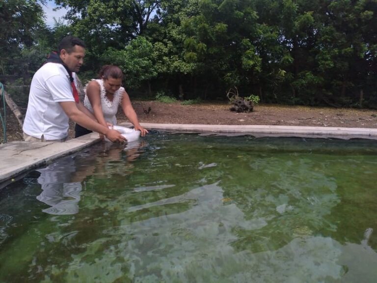 MEFCCA entrega alevines y tilapias a familias de Ciudad Sandino