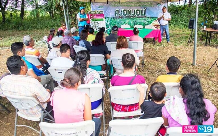 Presentan la “INTA Precoz Rendidor”