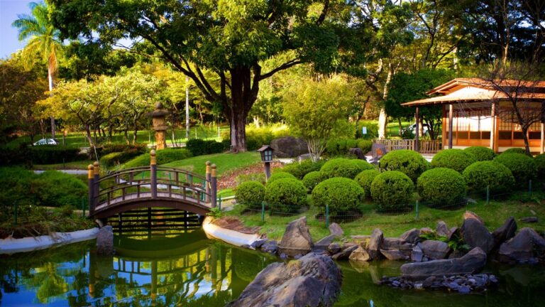 Gran árbol en parque Japonés se desploma y causa pánico.