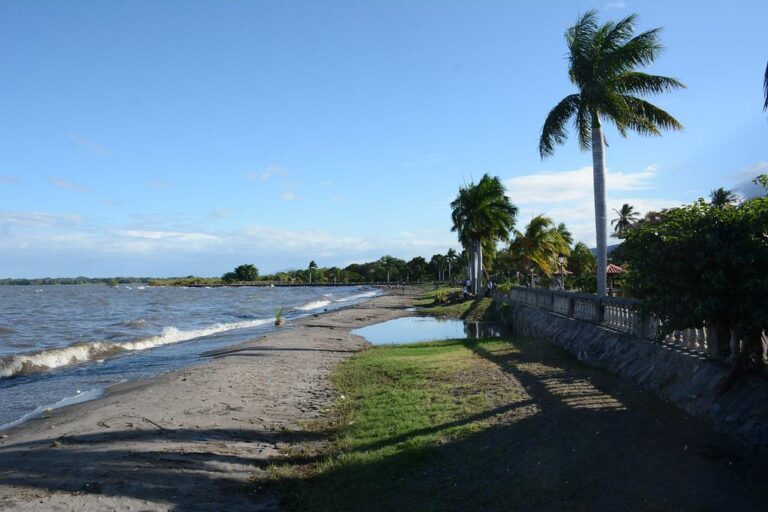 Familias disfrutan de concierto con el Rey del Chinamo