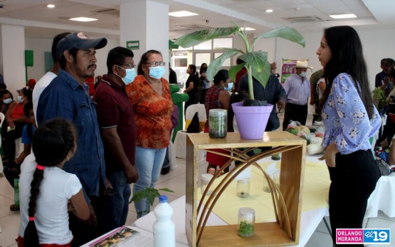 Nicaragua lanza la quinta edición del certamen de agro innovación