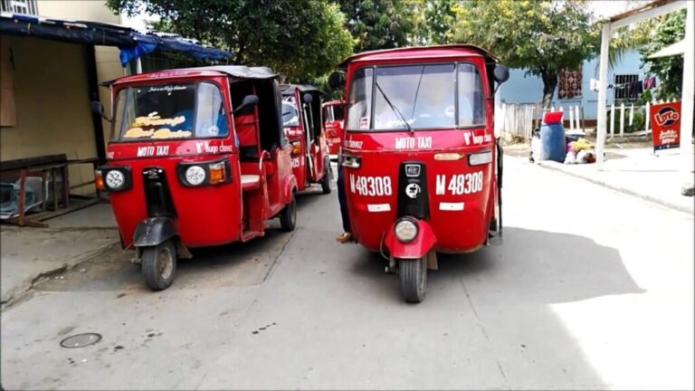 Constatan el cumplimiento del plan de ordenamiento de las caponeras