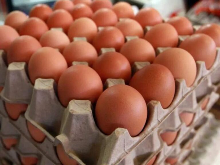 Asesina a su hermana porque el perro rompió unos huevos