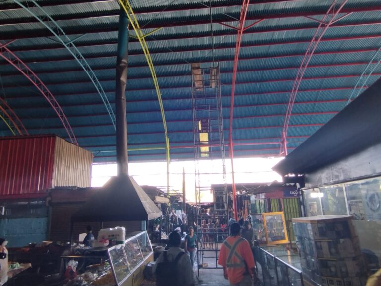 Avanza en un 48% el mejoramiento del techo del área de carnes en el Mercado Israel Lewites