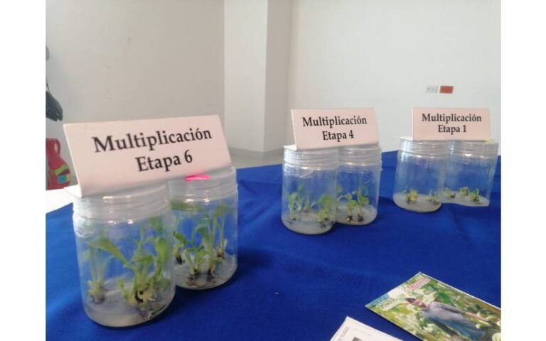 INTA realiza congreso sobre el Uso de la Biotecnología a productores