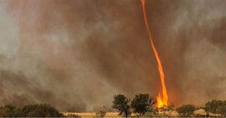 Masivos incendios en Chile provocan un enorme remolino de fuego