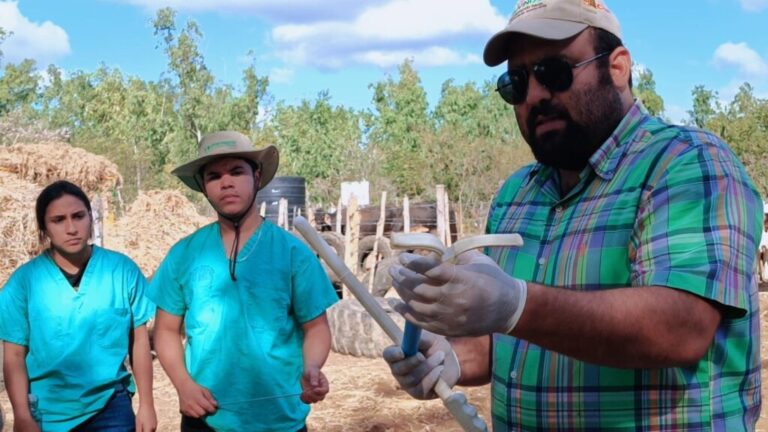 Capacitan a productores y técnicos de Nueva Segovia sobre inseminación artificial bovina