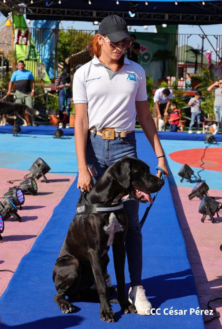 Lanzan I Festival “Mi Macota, Mi Amigo”, en la Plaza de Colores
