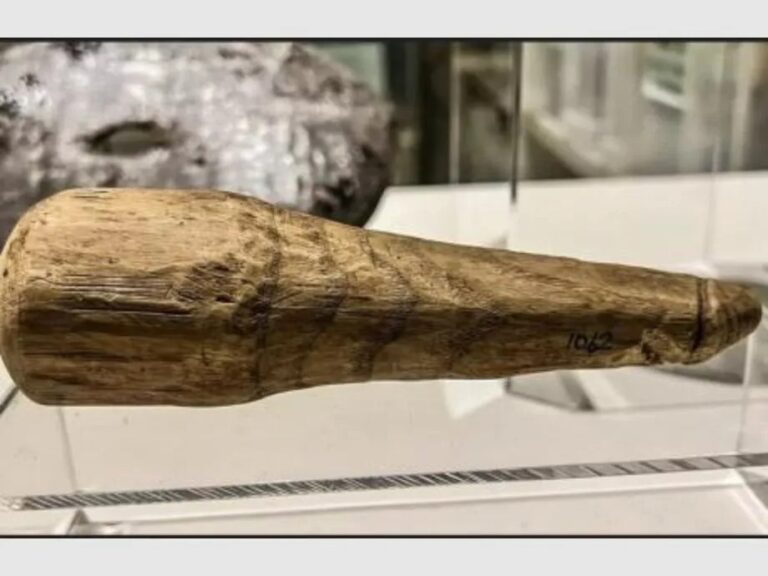 Encuentran un “consolador” de más de 2 mil años de antigüedad