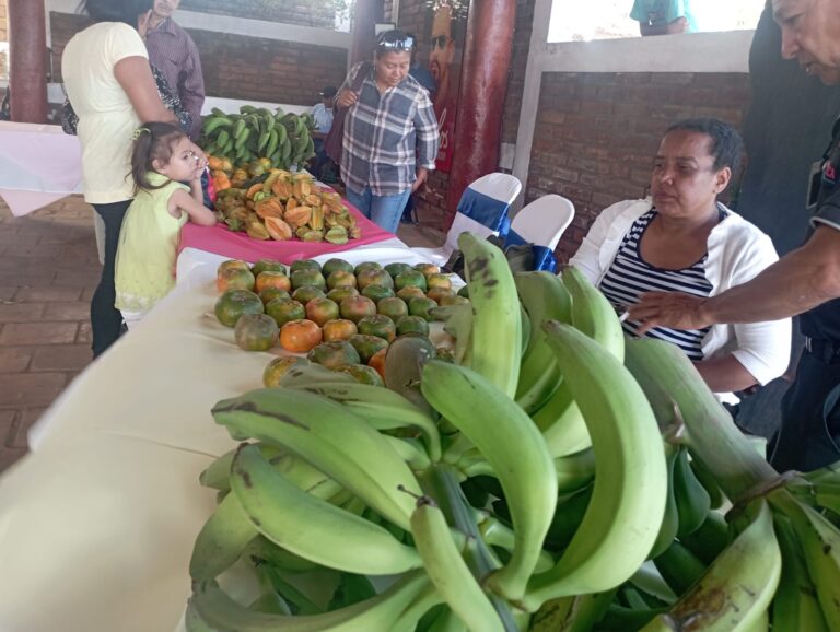Avanza Estrategia de Agricultura Familiar en Nicaragua