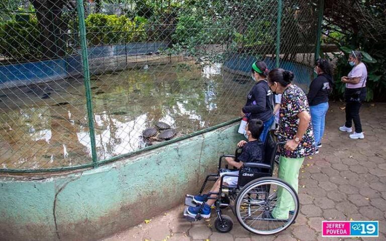 Niños y niñas con diversas discapacidades motoras reciben terapias en el Zoológico Nacional