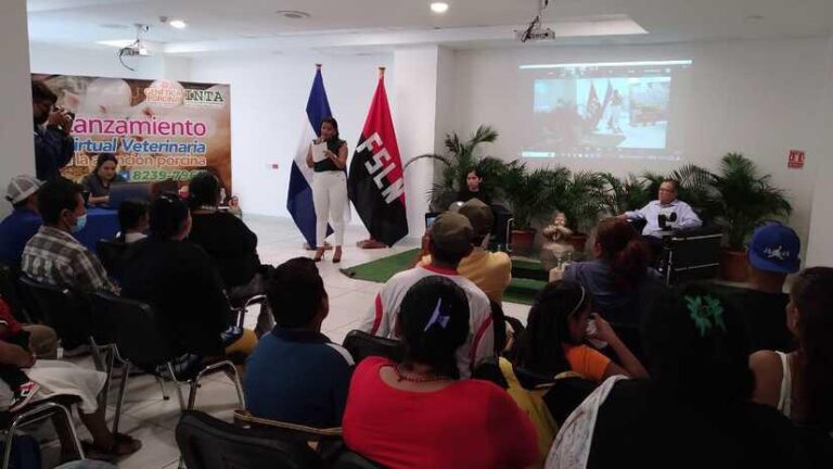 Lanzan clínica virtual veterinaria para atención porcina