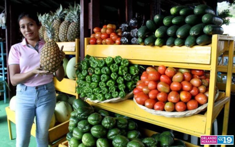 MEFCCA inaugura obras de remozamiento en el Mercadito Campesino