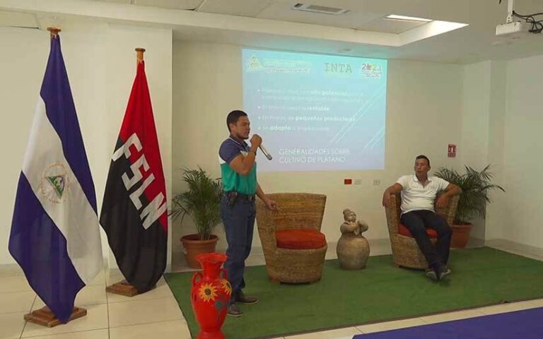 INTA continúa capacitando a productores de plátanos