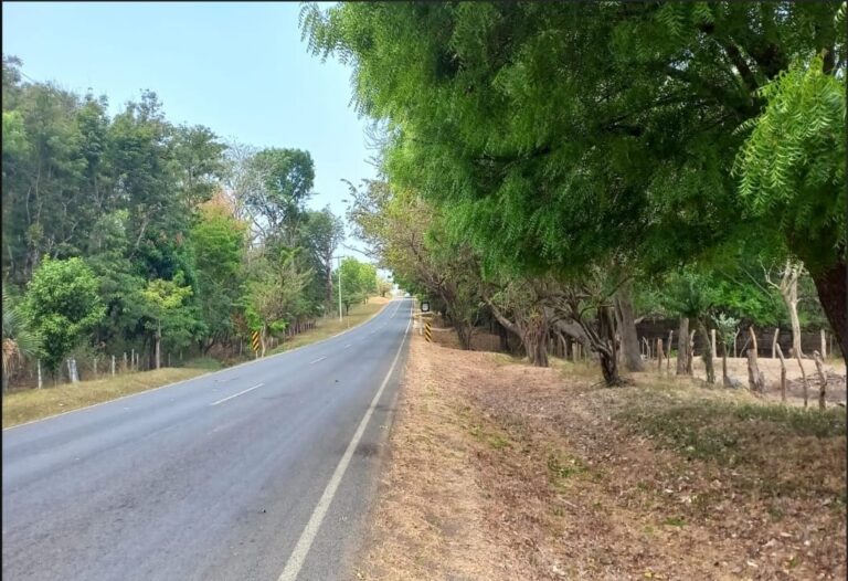 Avanza Plan “Amores de Verano 2023”