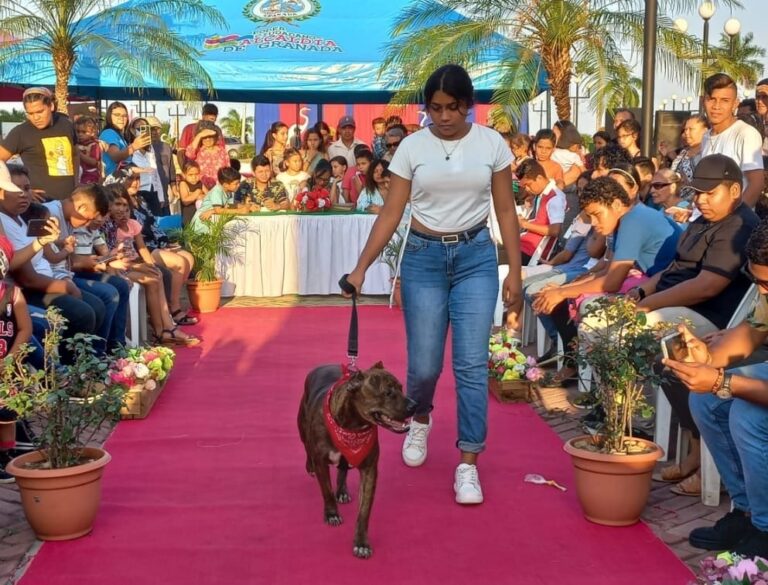 Realizan Festival Departamental de Mascotas