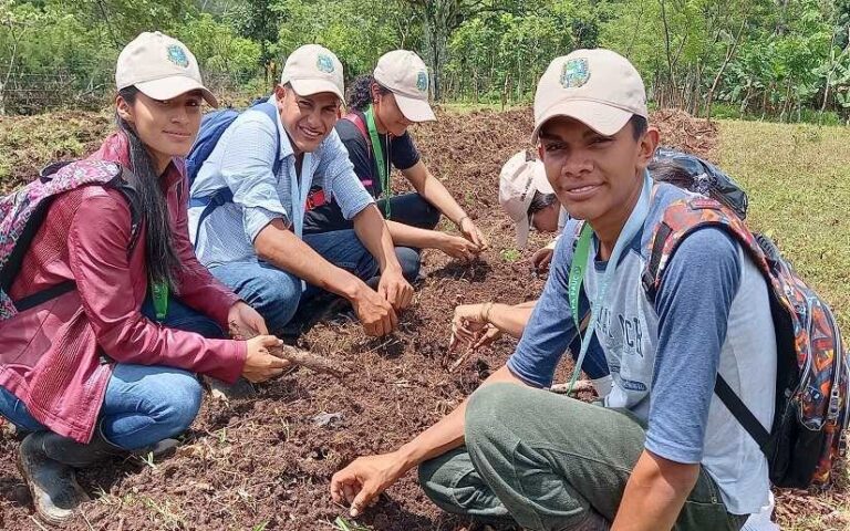Matrícula de educación técnica incrementa a 1 mil 826