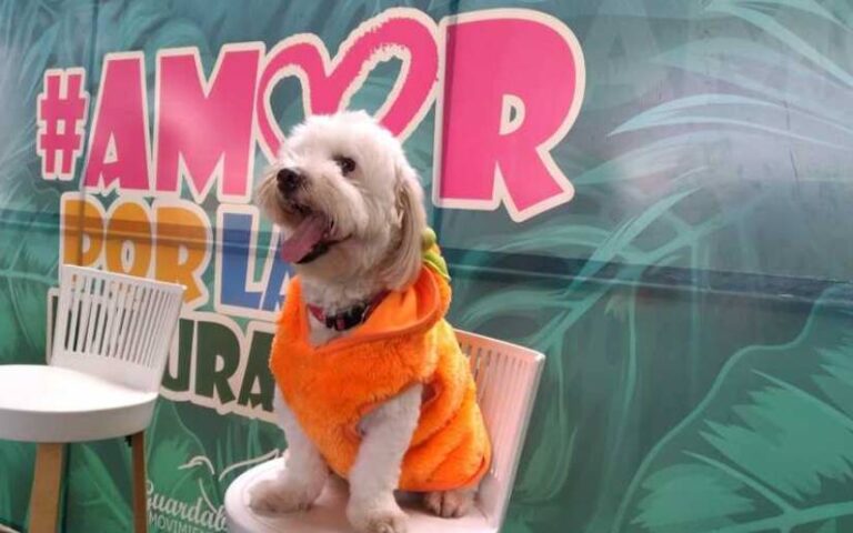 Celebran Festival “Mi Mascota, Mi Amigo” en León