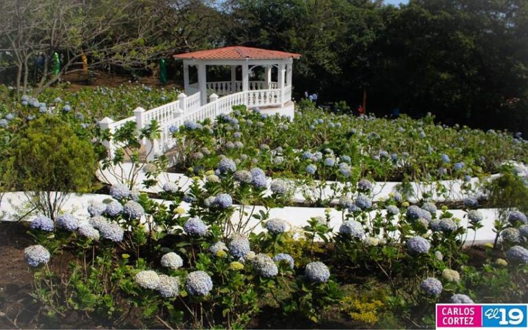 Inauguran Parque “Las Mil Flores”, en El Crucero