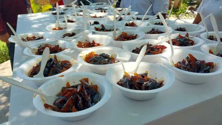 Reparten almíbar a visitantes de la Isla del Amor