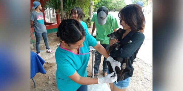 Estudiantes de veterinaria desarrollan Jornada de Sanidad Animal en Juigalpa