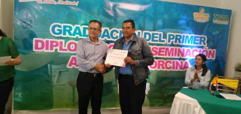 Gradúan a 200 productores del Diplomado de Inseminación Artificial Porcina